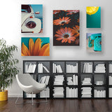 5 PC PREMIUM WALL FRAME DESIGNS (PRI-018)